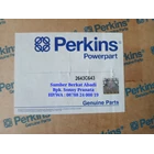 Pompa Injeksi Bahan Bakar (Fuel Injection) PERKINS 2643C643  - GENUINE 1